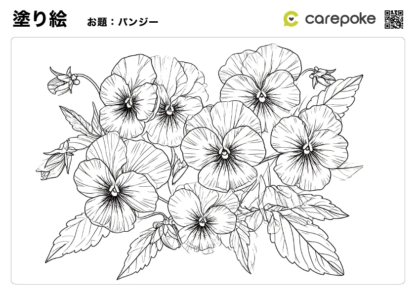 ＃43【塗り絵】パンジー