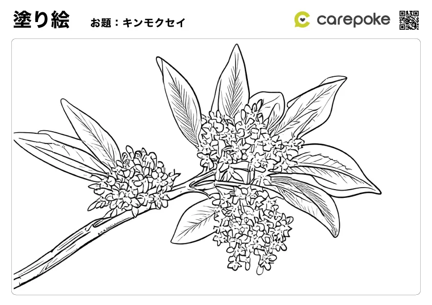 ＃36【塗り絵】キンモクセイ